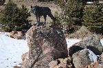 002_2009-0214-1439-11.jpg